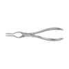 Walsham Septum Straightening Forceps, 23cm, Right